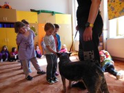 Bezpečný pes - kynologie